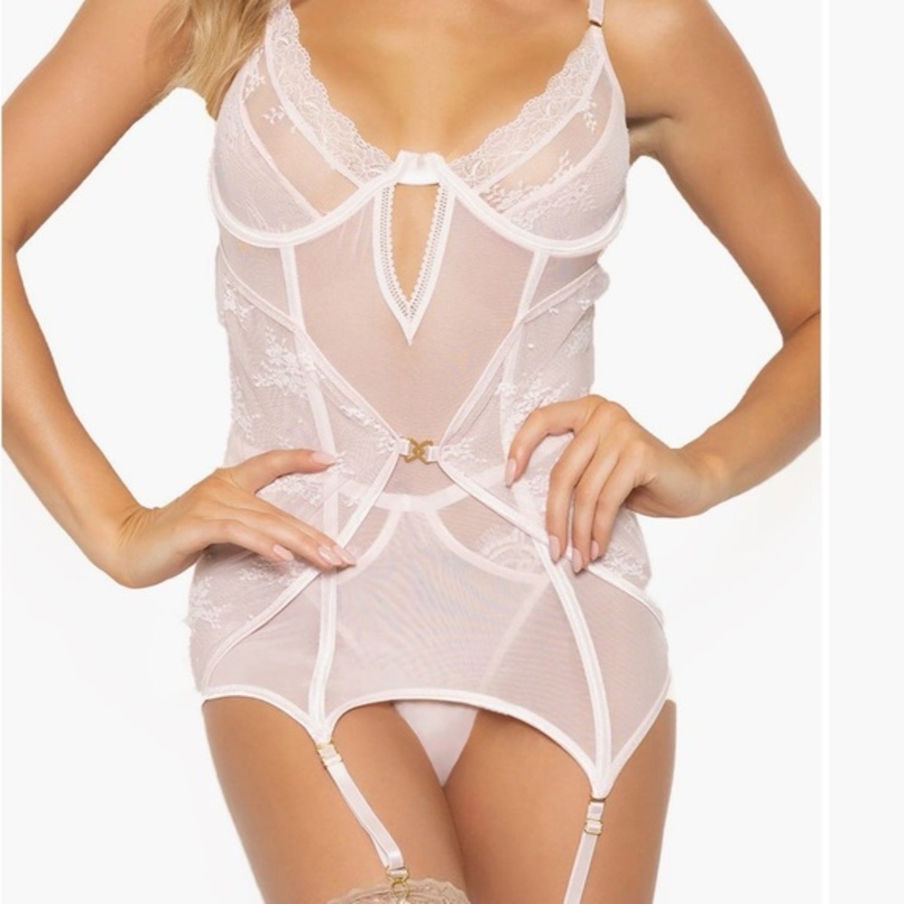 Delicate Blush Lace garter bustier with matching panty